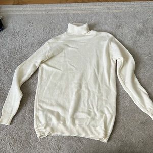 Oversized Brandy Melville Turtleneck